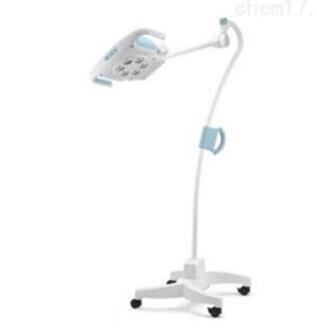 GS 900.jpg